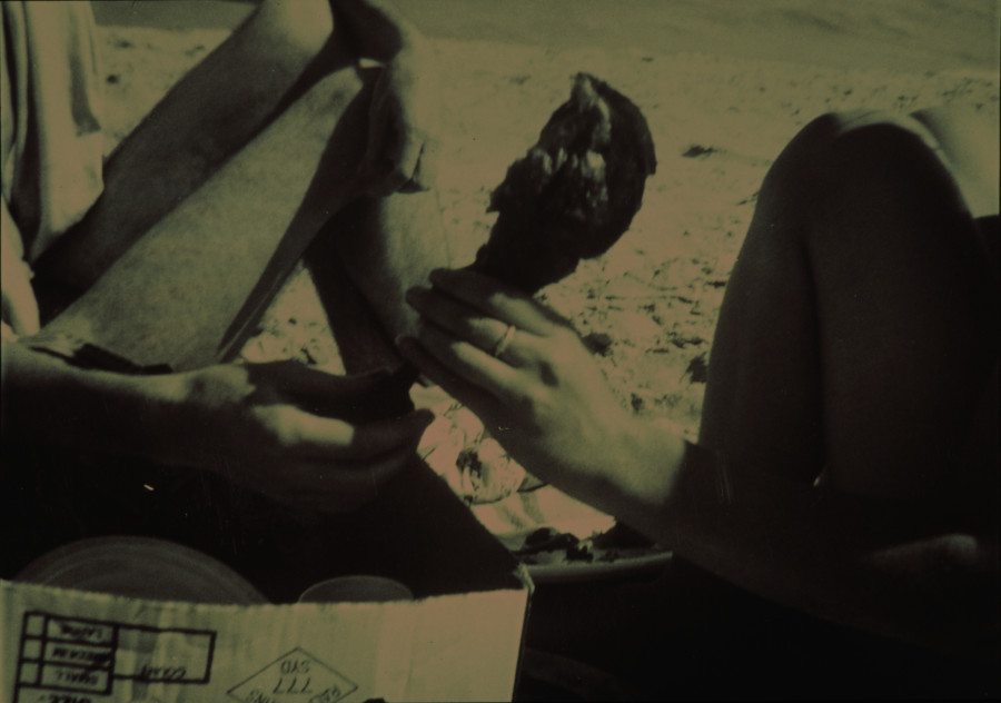 Xmas picnic with Craig. 1986
